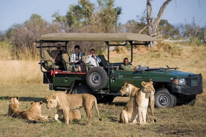 Chobe National Park Full‑Day Safari (Game Drive + River Cruise) — From Victoria Falls