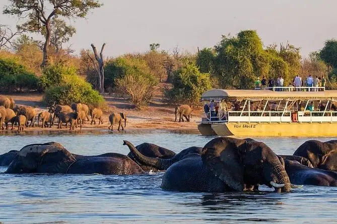 Chobe National Park Full Day Trip