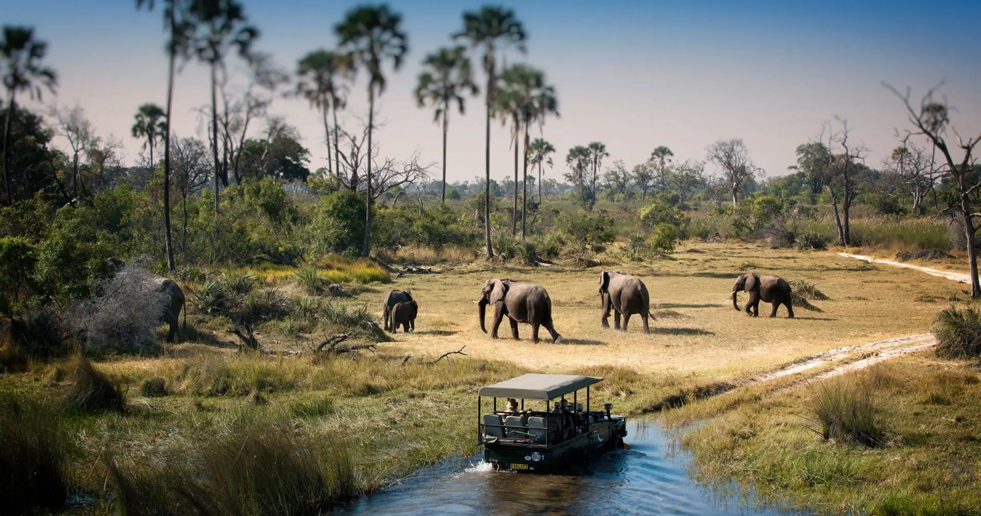 Chobe National Park Botswana