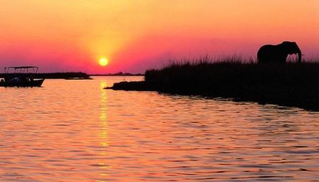chobe-river-sunset-safari-with-elephants-01-590x390