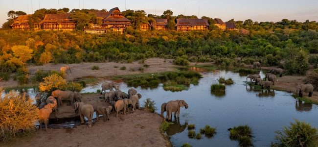 waterhole-aerial-view